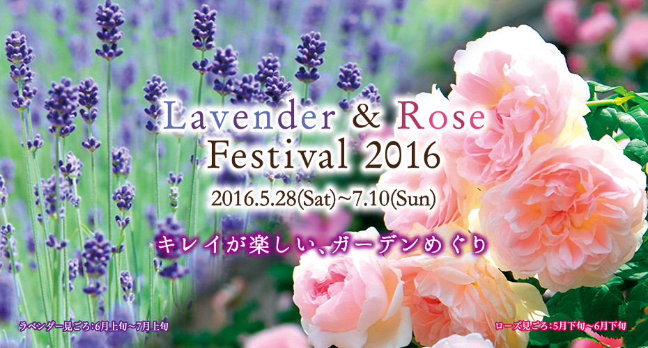 神戸布引ハーブ園/ロープウェイで、『ラベンダー＆ローズフェスティバル2016』が開催中♪